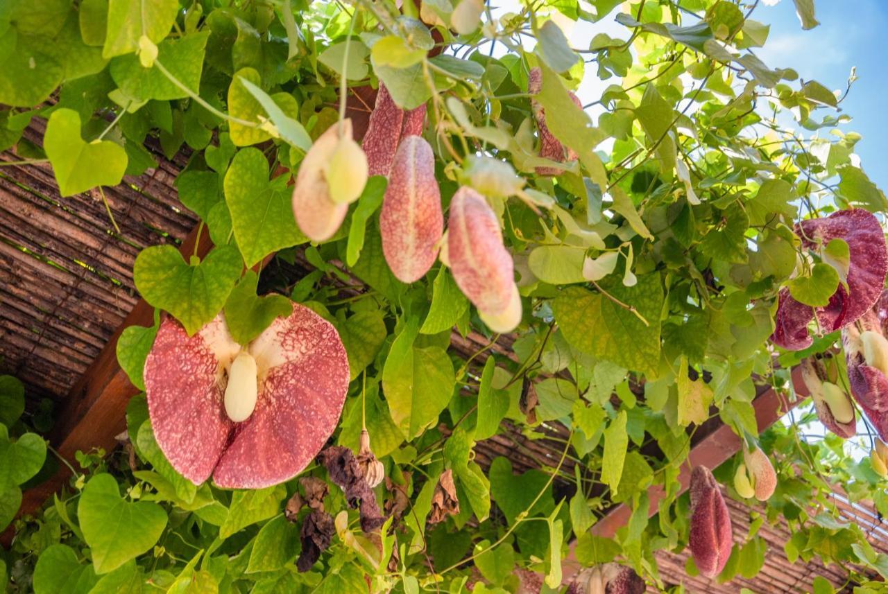 Cuaddus E Tellas Nuragus Ngoại thất bức ảnh