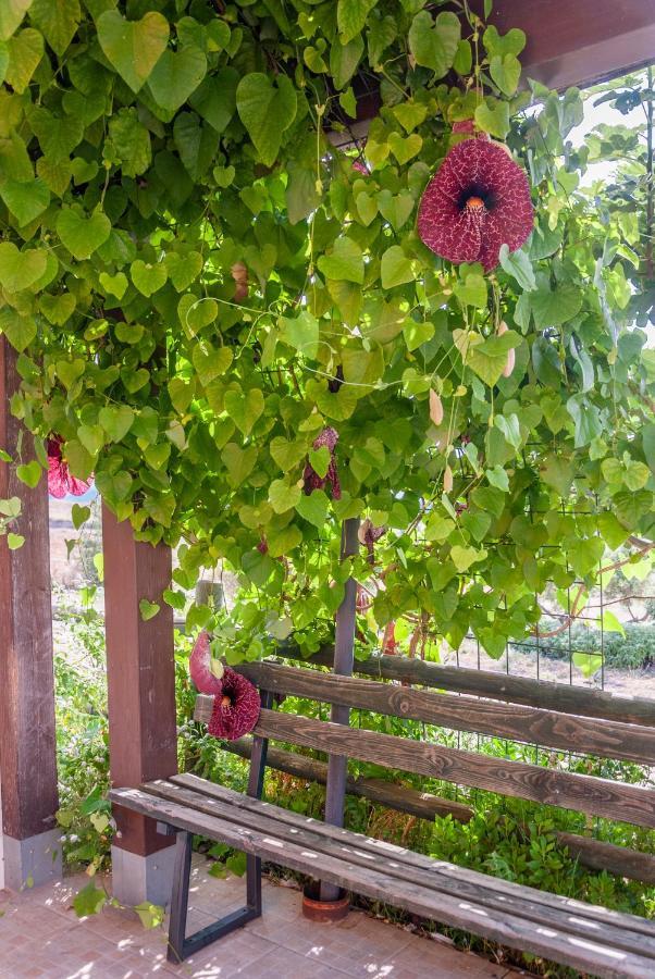 Cuaddus E Tellas Nuragus Ngoại thất bức ảnh
